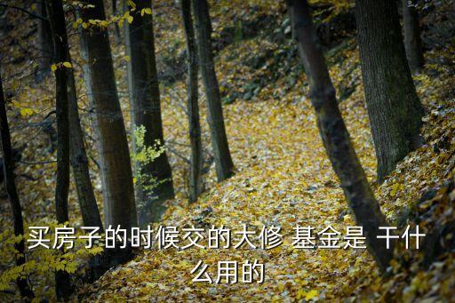 維修基金是干什么用的,開發(fā)商收的維修基金是干什么用的
