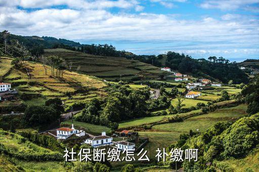 怎么補(bǔ)繳社保,企業(yè)職工到退休年齡怎么補(bǔ)繳社保