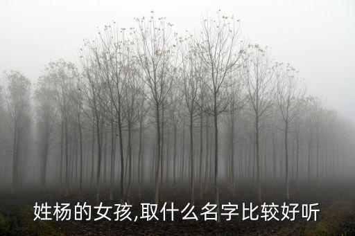 楊晞