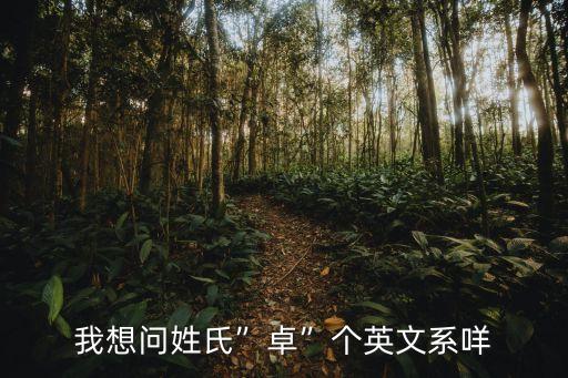 我想問姓氏”卓”個(gè)英文系咩