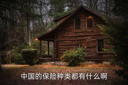 保險種類介紹,機動車保險種類介紹