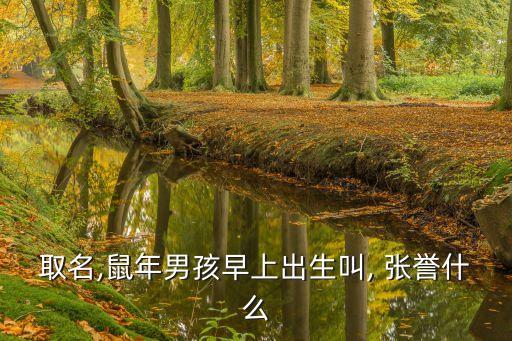 張譽(yù)