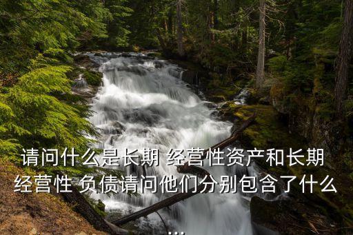 經(jīng)營性負(fù)債