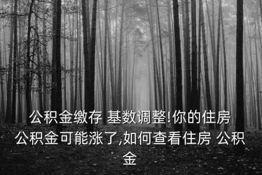 公積金基數(shù)怎么查,怎樣算自己公積金能貸多少錢