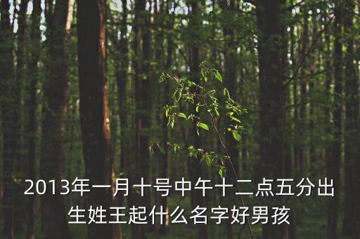 2013年一月十號中午十二點五分出生姓王起什么名字好男孩