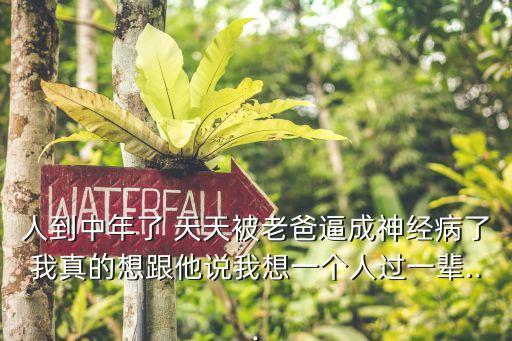 天天靠逼