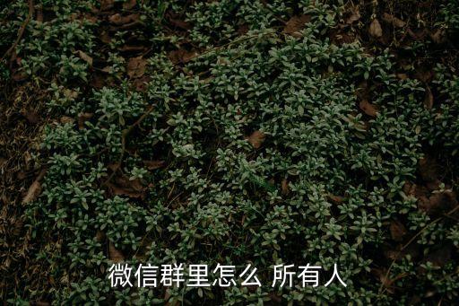 所有人
