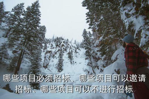 哪些項目必須招標、哪些項目可以邀請招標、哪些項目可以不進行招標