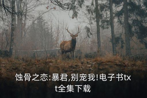 張華貴