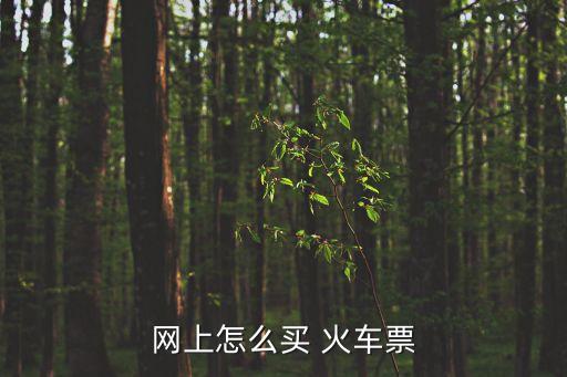訂購火車票,怎樣在網(wǎng)上訂購火車票