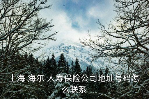 海爾紐約人壽