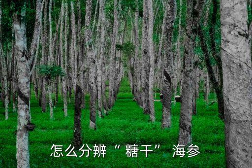 糖干海參