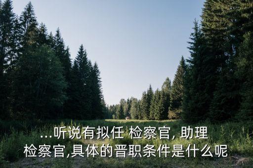 助理檢察官,特邀助理檢察官