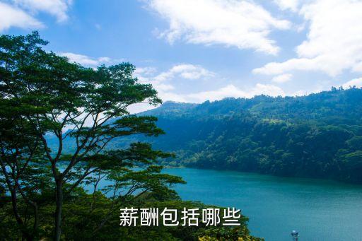 薪酬包括哪些