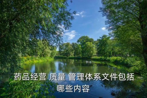  藥品經(jīng)營 質(zhì)量 管理體系文件包括哪些內(nèi)容