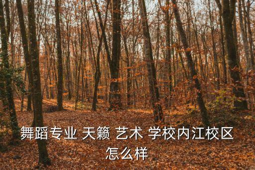 天籟藝術(shù)學(xué)校