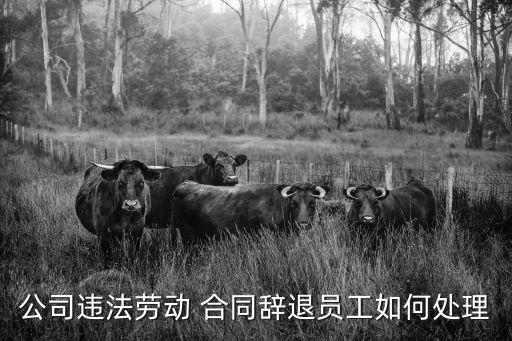 解聘合同受法律保護(hù)嗎怎么辦
