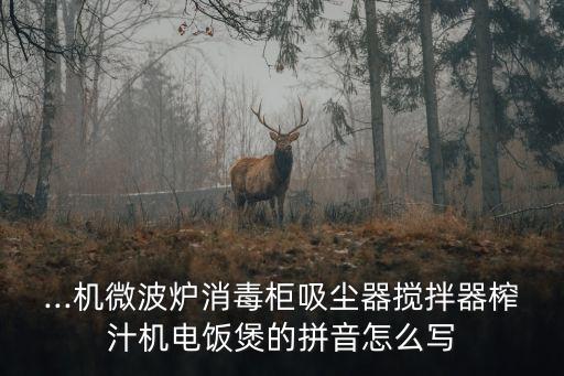 ...機(jī)微波爐消毒柜吸塵器攪拌器榨汁機(jī)電飯煲的拼音怎么寫