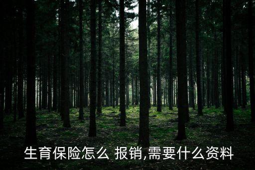  生育保險怎么 報銷,需要什么資料