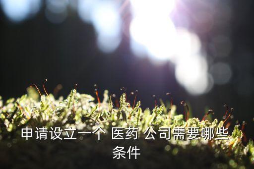 申請設(shè)立一個 醫(yī)藥 公司需要哪些 條件