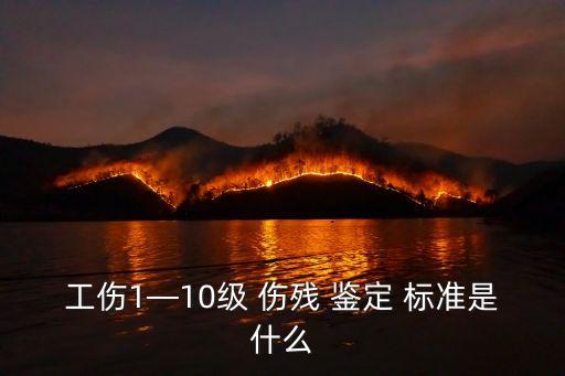 一級(jí)傷殘鑒定標(biāo)準(zhǔn),什么是一級(jí)傷殘鑒定標(biāo)準(zhǔn)