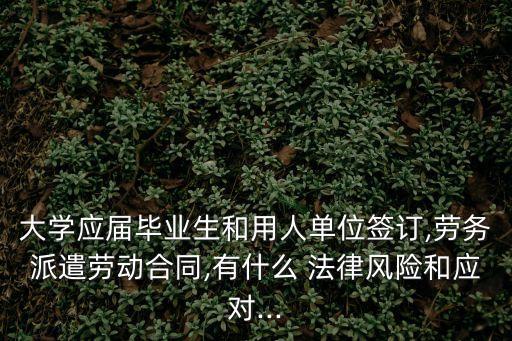 大學(xué)生就業(yè)遇到的法律問(wèn)題