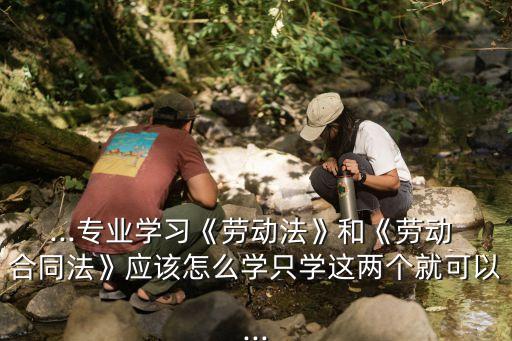 怎么學合同法律,合同造假的法律后果