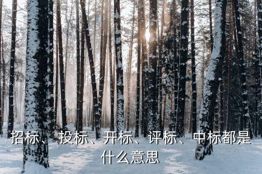 投標(biāo)是什么意思,聯(lián)合體投標(biāo)是什么意思