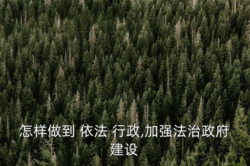 怎樣做到 依法 行政,加強法治政府建設(shè)