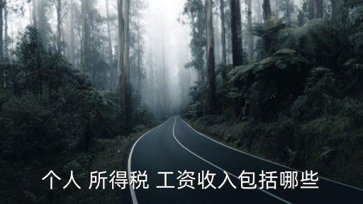 個人 所得稅 工資收入包括哪些