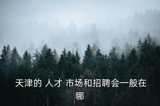  天津的 人才 市場和招聘會一般在哪