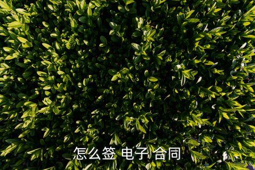 雙方如何簽訂電子合同,簽訂的電子合同哪里可以查看