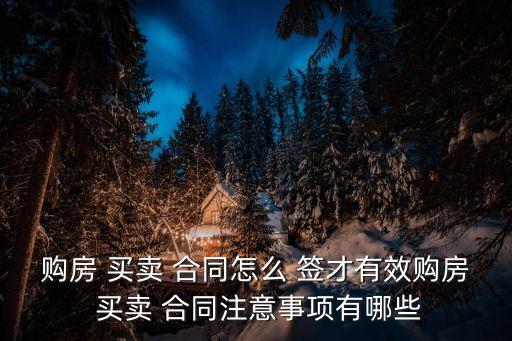 買賣合同怎么簽才有法律效力,買賣車合同協(xié)議書