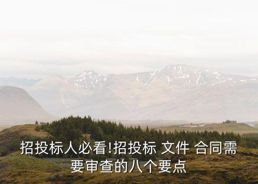 招投標(biāo)人必看!招投標(biāo) 文件 合同需要審查的八個要點