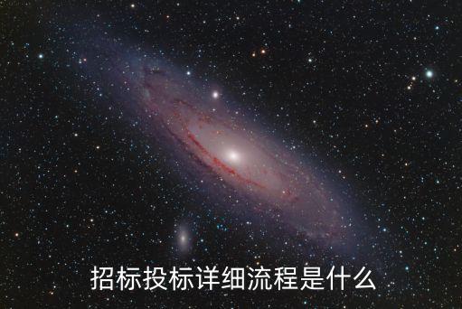 招標程序