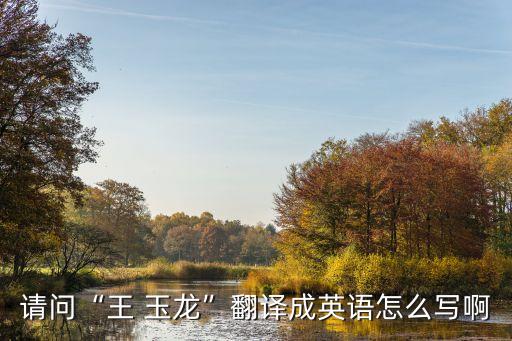 王玉龍