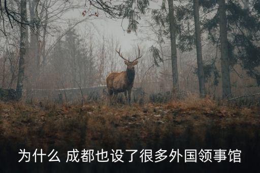 成都大使館,成都美國(guó)大使館開(kāi)了嗎