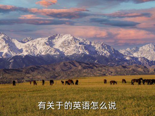 有關于的英語怎么說