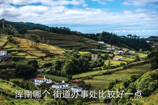 白塔街道,渾南區(qū)白塔街道