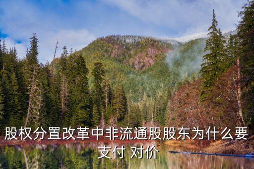 支付對(duì)價(jià),企業(yè)向客戶轉(zhuǎn)讓商品時(shí)需要向客戶支付對(duì)價(jià)