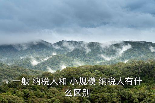 什么是小規(guī)模納稅人,小規(guī)模代理記賬一年費(fèi)用
