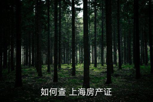 如何查 上海房產(chǎn)證