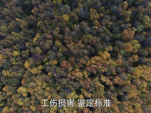 職工工傷與職業(yè)病致殘程度鑒定標準