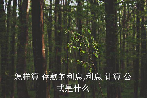 存款利率計(jì)算公式,三個(gè)月定期存款利息計(jì)算公式