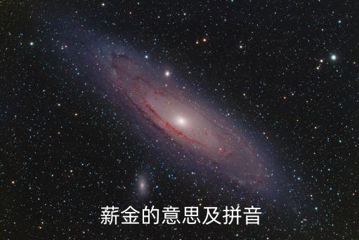 薪金是什么意思,個(gè)人所得稅里面的工資薪金是什么意思
