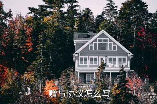 贈(zèng)與合同