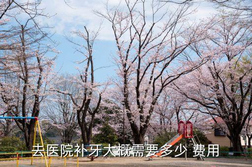 牙齒根管治療費(fèi)用,公立醫(yī)院牙齒根管治療費(fèi)用