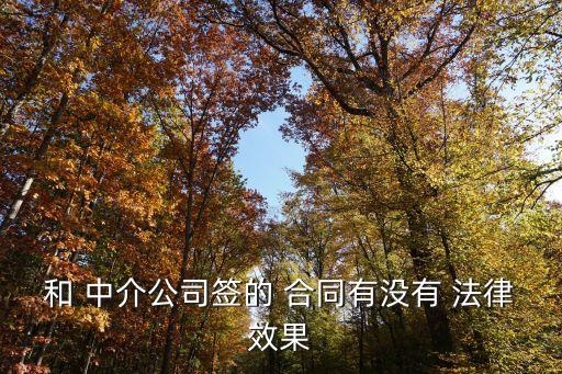 中介合同有哪些法律效力,二手房中介合同有法律效力嗎