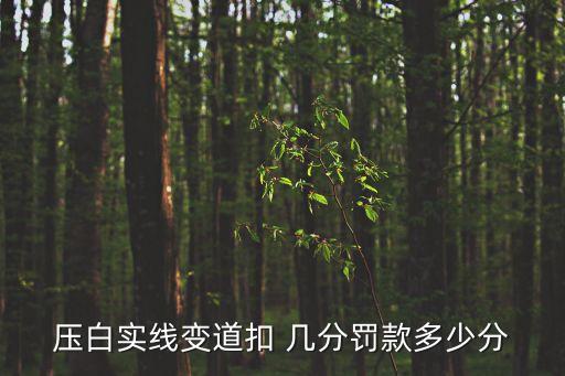 壓白實線變道扣 幾分罰款多少分