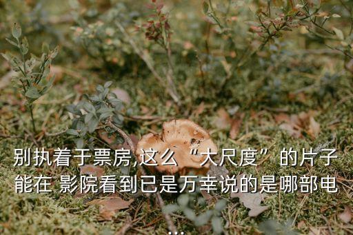 別執(zhí)著于票房,這么“大尺度”的片子能在 影院看到已是萬幸說的是哪部電...